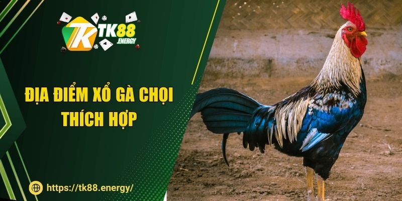 Địa điểm xổ gà chọi thích hợp