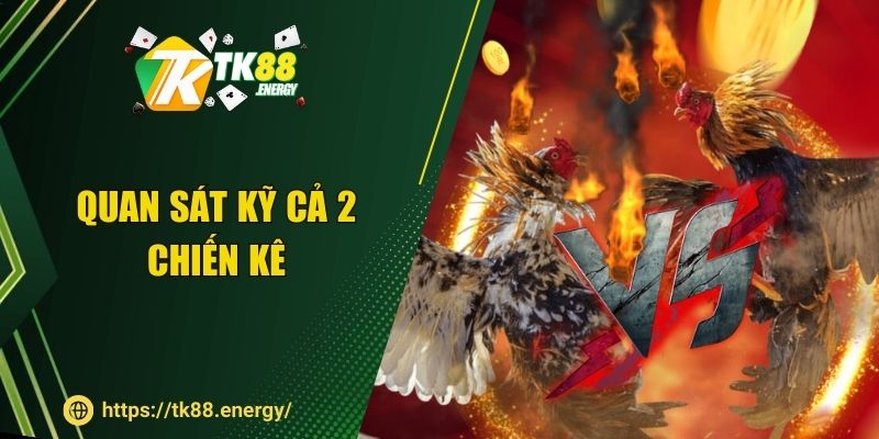 Quan sát kỹ cả 2 chiến kê
